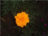 23bee88a-Picture 025.jpg